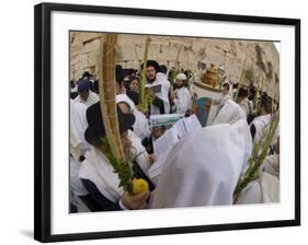 Sukot Festival, Jews in Prayer Shawls Holding Lulav and Etrog, Praying by the Western Wall, Israel-Eitan Simanor-Framed Photographic Print