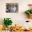 Sukot Festival, Jews in Prayer Shawls Holding Lulav and Etrog, Praying by the Western Wall, Israel-Eitan Simanor-Photographic Print displayed on a wall