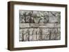 Sukuh Temple, Solo, Java, Indonesia-Keren Su-Framed Photographic Print