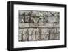 Sukuh Temple, Solo, Java, Indonesia-Keren Su-Framed Photographic Print