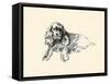 Suky The Spaniel-Lucy Dawson-Framed Stretched Canvas