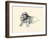 Suky The Spaniel-Lucy Dawson-Framed Art Print