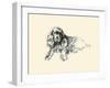 Suky The Spaniel-Lucy Dawson-Framed Art Print