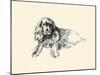 Suky The Spaniel-Lucy Dawson-Mounted Art Print