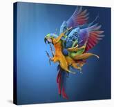 Flying Colours-Sulaiman Almawash-Framed Photographic Print