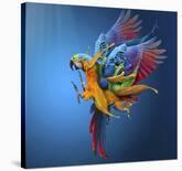 Flying Colours-Sulaiman Almawash-Framed Photographic Print