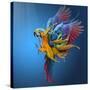 Stretched Canvas