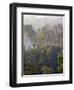 Sulawesi Tangkoko Rainforest, Sulawesi-Connie Bransilver-Framed Photographic Print