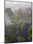 Sulawesi Tangkoko Rainforest, Sulawesi-Connie Bransilver-Mounted Photographic Print