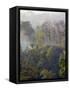 Sulawesi Tangkoko Rainforest, Sulawesi-Connie Bransilver-Framed Stretched Canvas