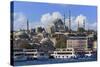 Sulemaniye Mosque, Eminonu and Bazaar District, Istanbul, Turkey, Europe-Richard-Stretched Canvas