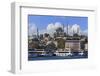 Sulemaniye Mosque, Eminonu and Bazaar District, Istanbul, Turkey, Europe-Richard-Framed Photographic Print