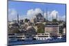 Sulemaniye Mosque, Eminonu and Bazaar District, Istanbul, Turkey, Europe-Richard-Mounted Photographic Print