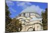 Suleymaniye Mosque, Eminonu and Bazaar District, Istanbul, Turkey, Europe-Richard Cummins-Mounted Photographic Print