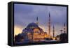 Suleymaniye Mosque, Eminonuand Bazaar District, Istanbul, Turkey, Europe-Richard Cummins-Framed Stretched Canvas