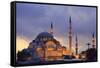 Suleymaniye Mosque, Eminonuand Bazaar District, Istanbul, Turkey, Europe-Richard Cummins-Framed Stretched Canvas