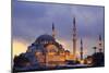 Suleymaniye Mosque, Eminonuand Bazaar District, Istanbul, Turkey, Europe-Richard Cummins-Mounted Photographic Print