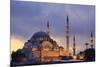 Suleymaniye Mosque, Eminonuand Bazaar District, Istanbul, Turkey, Europe-Richard Cummins-Mounted Photographic Print
