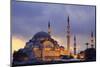 Suleymaniye Mosque, Eminonuand Bazaar District, Istanbul, Turkey, Europe-Richard Cummins-Mounted Photographic Print