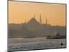 Suleymaniye Mosque, Istanbul, Turkey, Istanbul, Turkey-Jon Arnold-Mounted Photographic Print