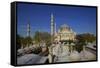 Suleymaniye Mosque, UNESCO World Heritage Site, Istanbul, Turkey, Europe-Neil Farrin-Framed Stretched Canvas