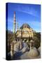 Suleymaniye Mosque, UNESCO World Heritage Site, Istanbul, Turkey, Europe-Neil Farrin-Stretched Canvas