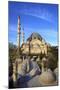 Suleymaniye Mosque, UNESCO World Heritage Site, Istanbul, Turkey, Europe-Neil Farrin-Mounted Photographic Print
