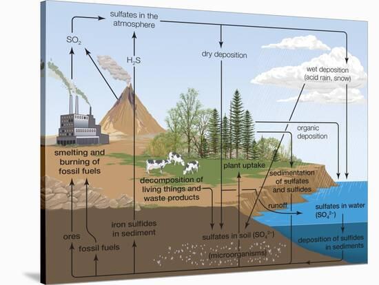 Sulfur Cycle, Biosphere, Atmosphere, Earth Sciences-Encyclopaedia Britannica-Stretched Canvas