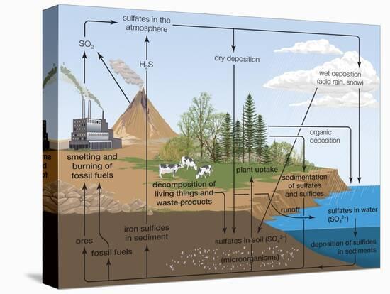 Sulfur Cycle, Biosphere, Atmosphere, Earth Sciences-Encyclopaedia Britannica-Stretched Canvas