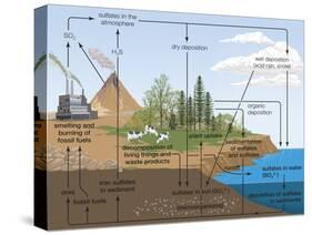 Sulfur Cycle, Biosphere, Atmosphere, Earth Sciences-Encyclopaedia Britannica-Stretched Canvas