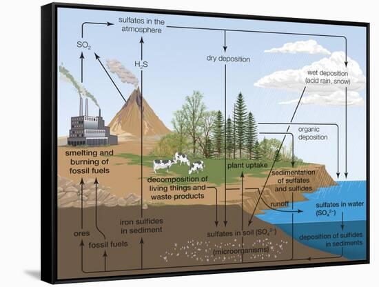 Sulfur Cycle, Biosphere, Atmosphere, Earth Sciences-Encyclopaedia Britannica-Framed Stretched Canvas