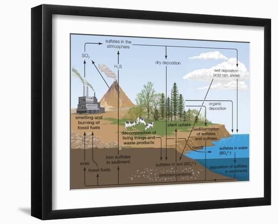 Sulfur Cycle, Biosphere, Atmosphere, Earth Sciences-Encyclopaedia Britannica-Framed Art Print