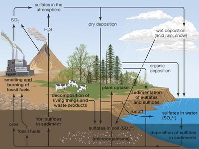 'Sulfur Cycle, Biosphere, Atmosphere, Earth Sciences' Poster - Encyclopaedia Britannica ...