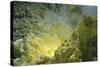 Sulfur in a Volcano Crater, Papua New Guinea, New Britain, Kimbe Bay-Reinhard Dirscherl-Stretched Canvas