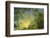 Sulfur in a Volcano Crater, Papua New Guinea, New Britain, Kimbe Bay-Reinhard Dirscherl-Framed Photographic Print