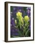 Sulfur Paintbrush, Pawnee National Grassland, Colorado, USA-Claudia Adams-Framed Photographic Print