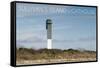 Sullivan's Island, South Carolina - Charleston Light-Lantern Press-Framed Stretched Canvas