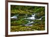 Sullivan’s Run #1-Robert Lott-Framed Art Print