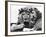 Sullivan the Lion with His Hair in Curlers at Knarsborough Zoo in Yorkshire-null-Framed Photographic Print