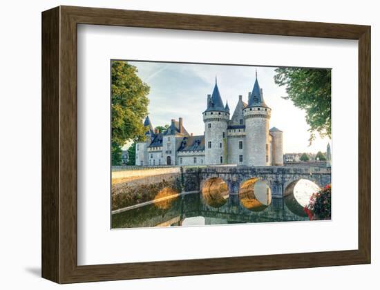 Sully-Sur-Loire Chateau France-null-Framed Art Print