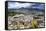 Sulphur Buckwheat Wildflower Above Lake Aloha, Lake Tahoe, California-Howie Garber-Framed Stretched Canvas