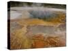 Sulphur Caldron, Yellowstone National Park, Wyoming, USA-Pete Oxford-Stretched Canvas