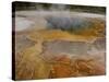 Sulphur Caldron, Yellowstone National Park, Wyoming, USA-Pete Oxford-Stretched Canvas