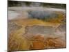 Sulphur Caldron, Yellowstone National Park, Wyoming, USA-Pete Oxford-Mounted Photographic Print