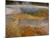 Sulphur Caldron, Yellowstone National Park, Wyoming, USA-Pete Oxford-Mounted Photographic Print