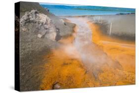 Sulphur river below Volcano Tavurvur, Rabaul, East New Britain, Papua New Guinea, Pacific-Michael Runkel-Stretched Canvas