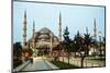 Sultan Ahmed Mosque (Blue Mosque) in Istanbul-photo.ua-Mounted Photographic Print