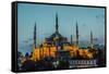 Sultan Ahmed Mosque (The Blue Mosque), Istanbul, Turkey-bloodua-Framed Stretched Canvas