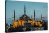 Sultan Ahmed Mosque (The Blue Mosque), Istanbul, Turkey-bloodua-Stretched Canvas