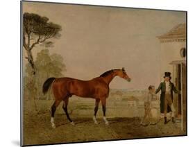 Sultan' at the Marquess of Exeter's Stud, Burghley, 1826-Lambert Marshall-Mounted Giclee Print